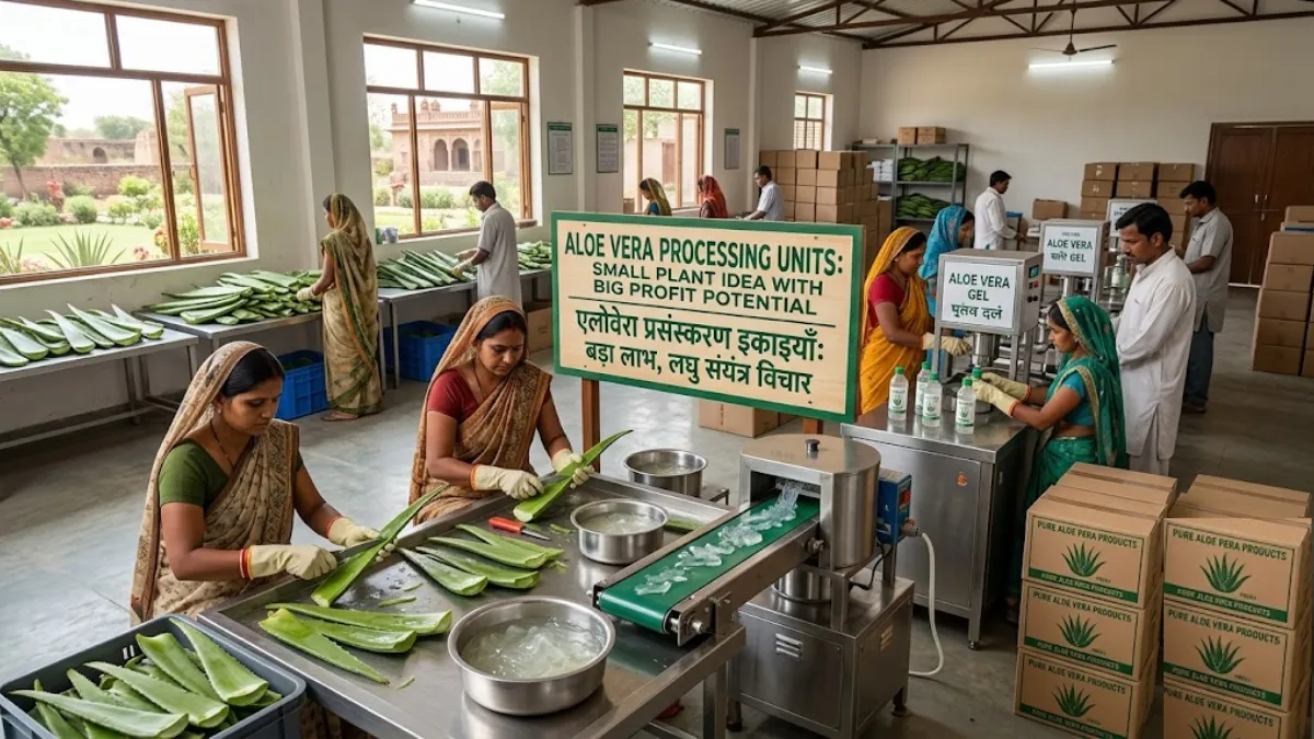 Aloe Vera Processing Units: Small Plant Idea With Big Profit Potential